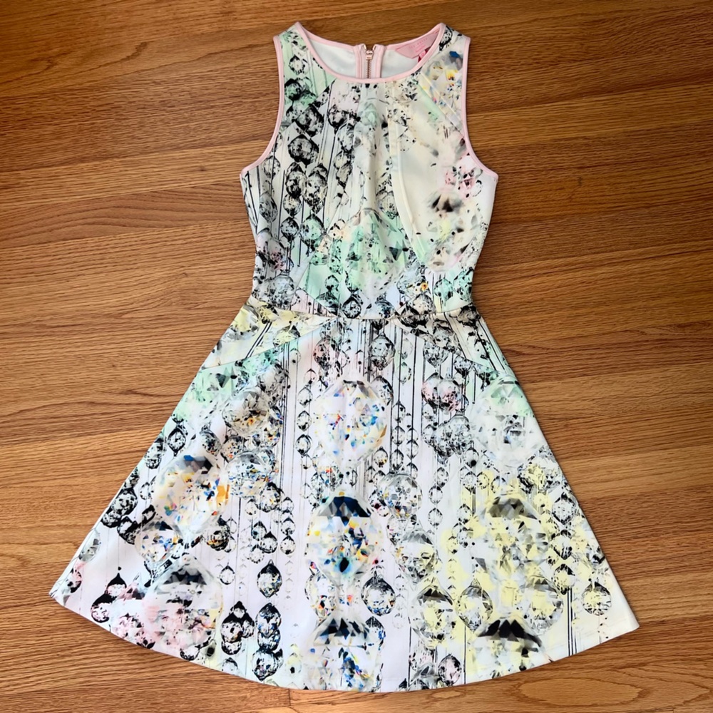 NWT Ted Baker Crystal Droplets Skater Dress size 0 in Nude Pink
